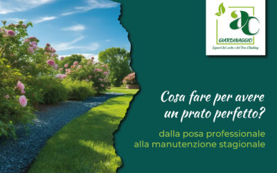 Un prato perfetto a Catania e provincia: dalla posa professionale alla manutenzione stagionale
